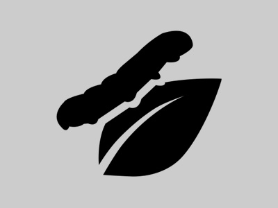 Seta