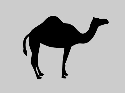 Cammello