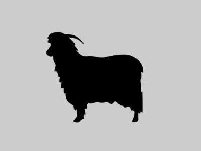 Angora