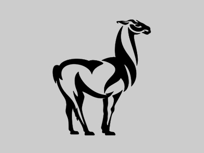 Alpaca